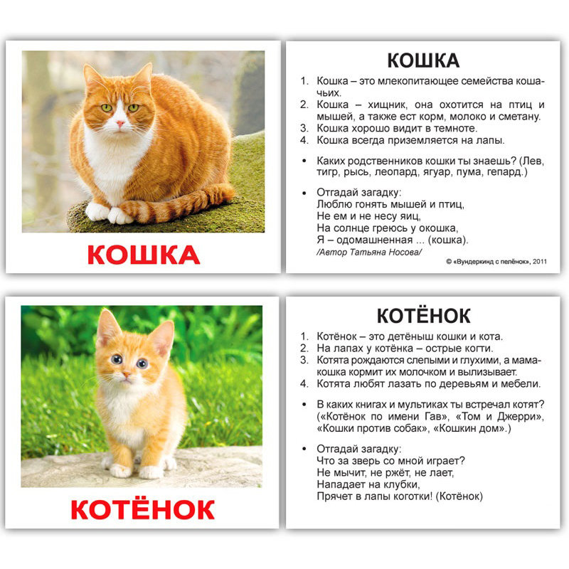 Придумай имя для кота