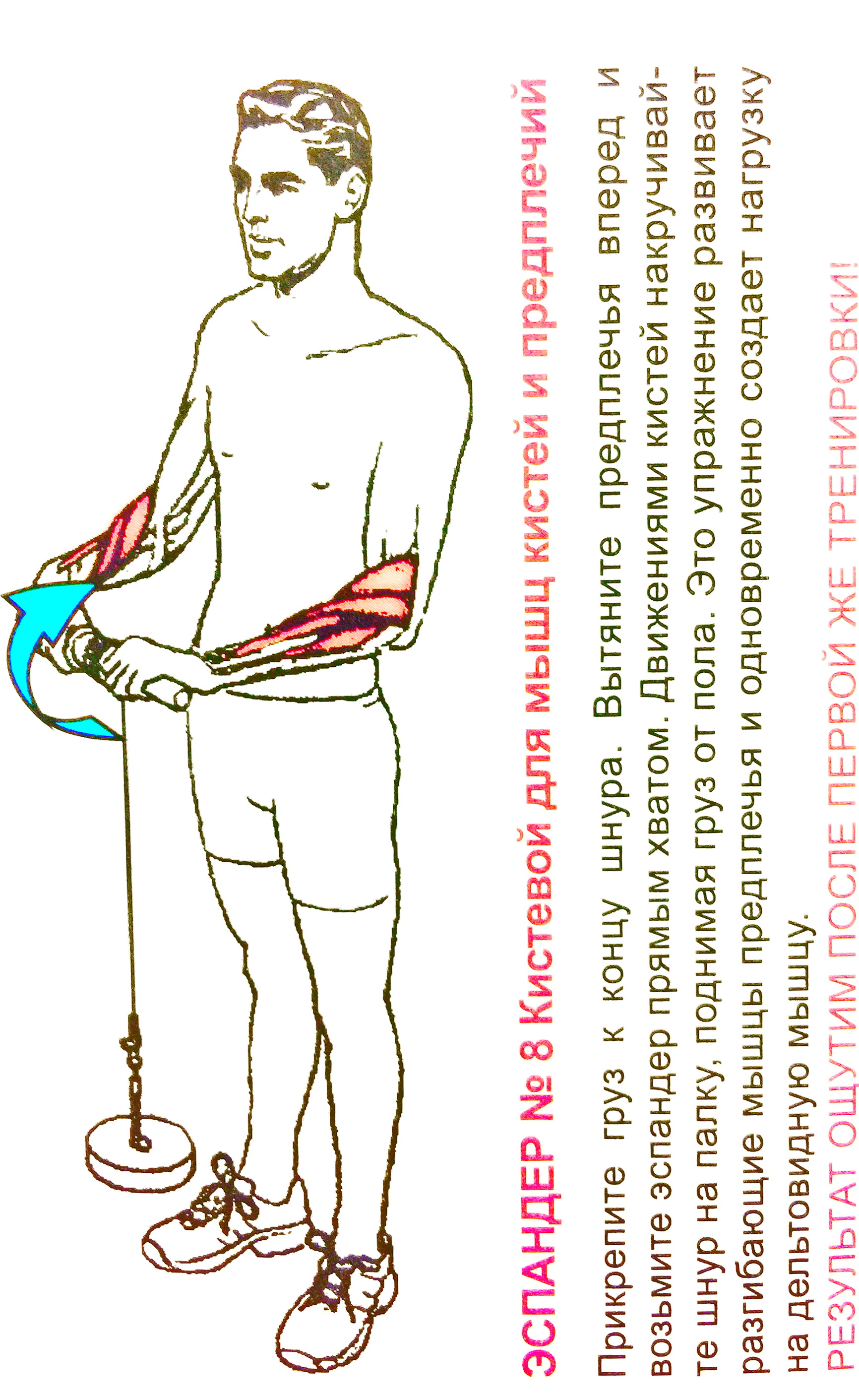 Эспандер №8 для мышц кистей рук-накручивание шнура (пакет)