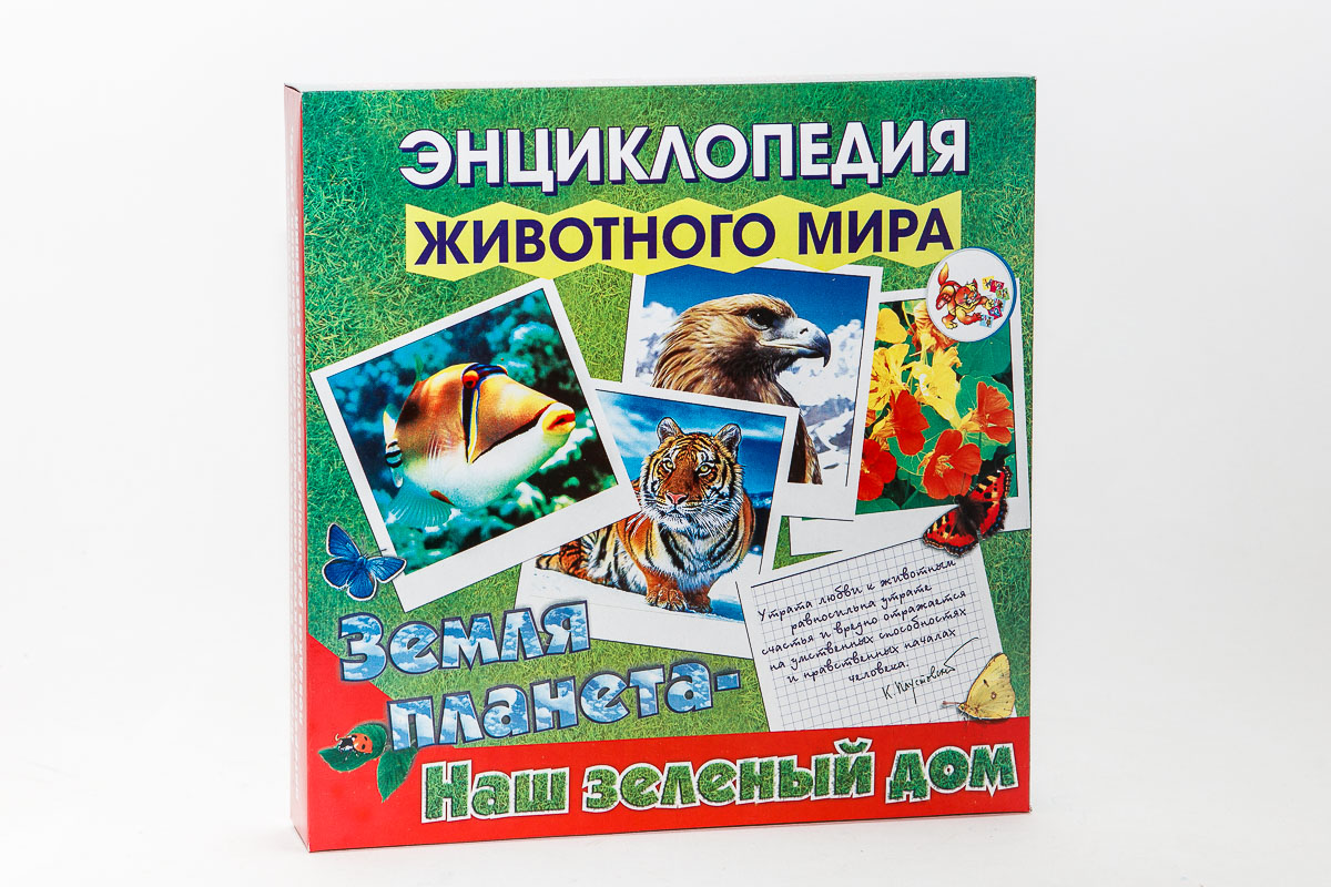 Игра-викторина Земля планета- наш зеленый дом