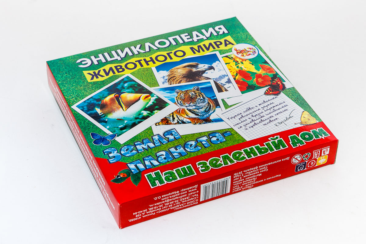 Игра-викторина Земля планета- наш зеленый дом