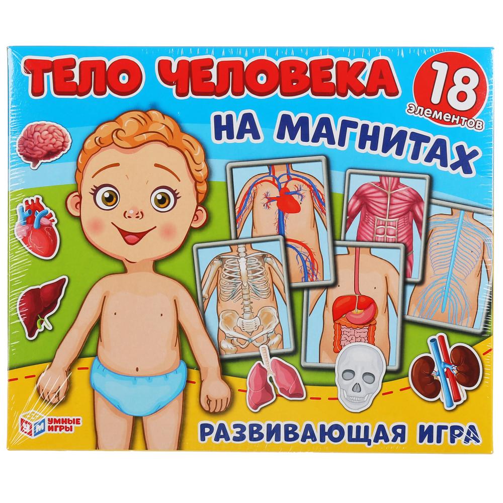 НИ Умные игры Одевайка на магнитах Одень куклу Тело человека 299783