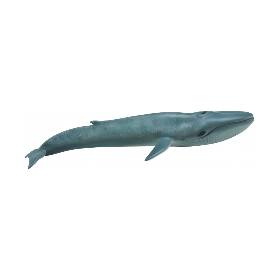 Голубой кит XL