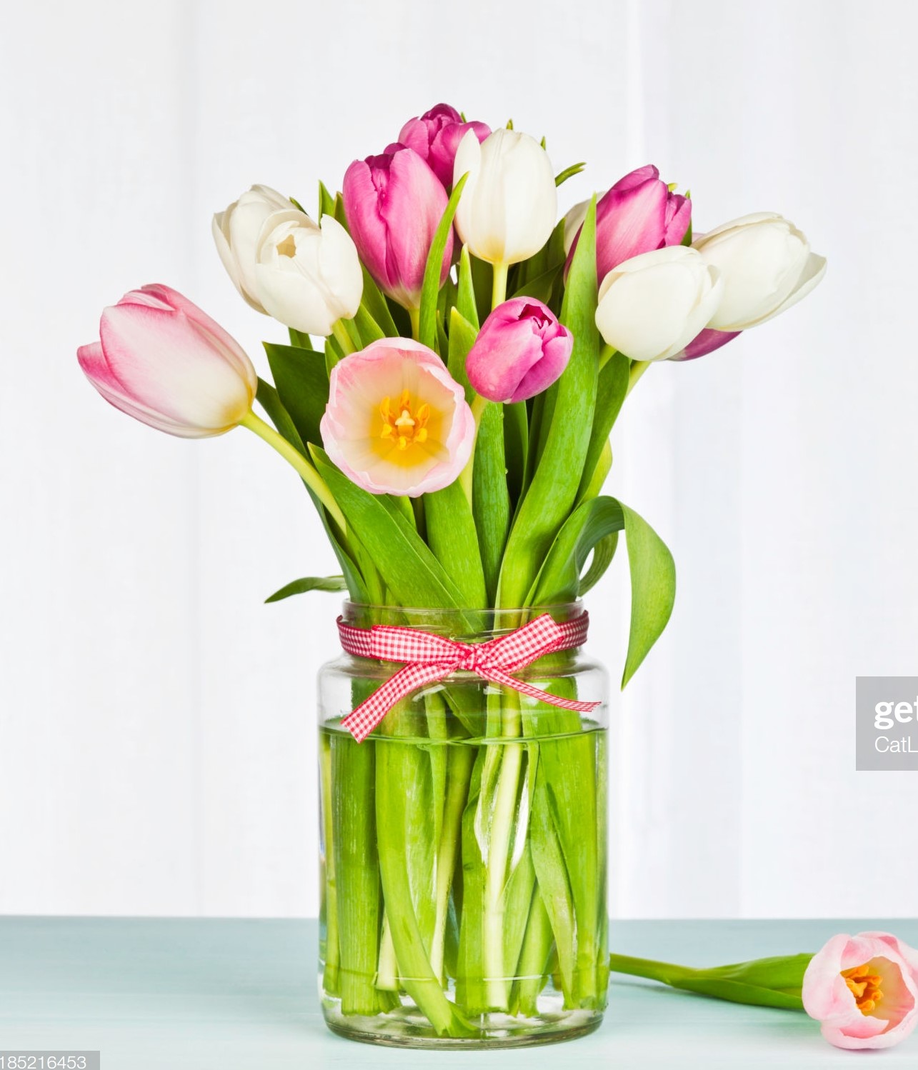 Холст с красками 40*50 см по номерам Нежные тюльпаны