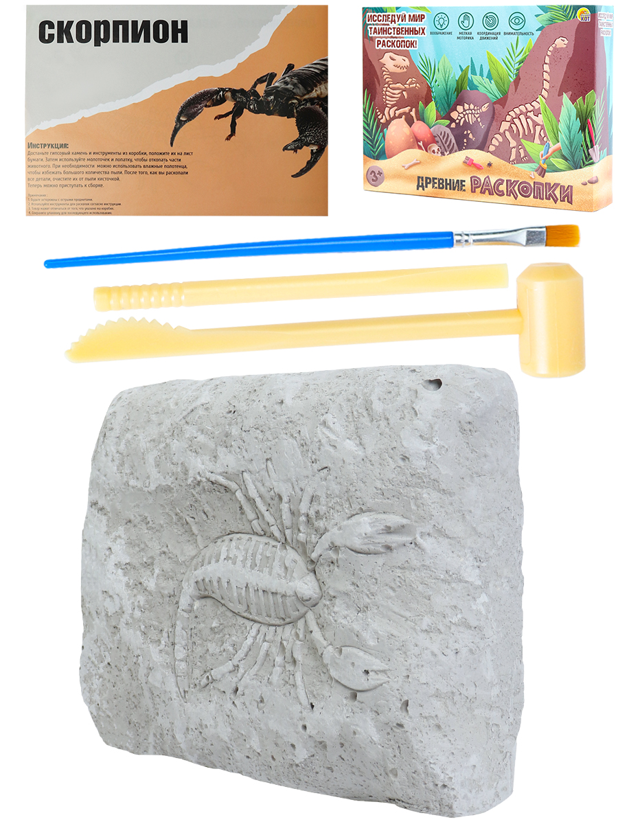 Набор археолога Скорпион (камень,3 инструмента,книжка, в коробке