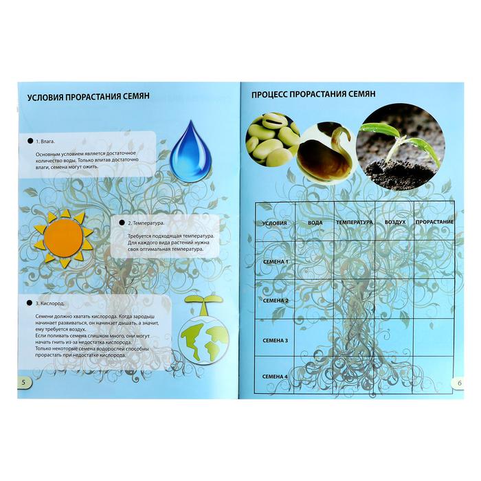 Набор для опытов Эврики Наука о растениях