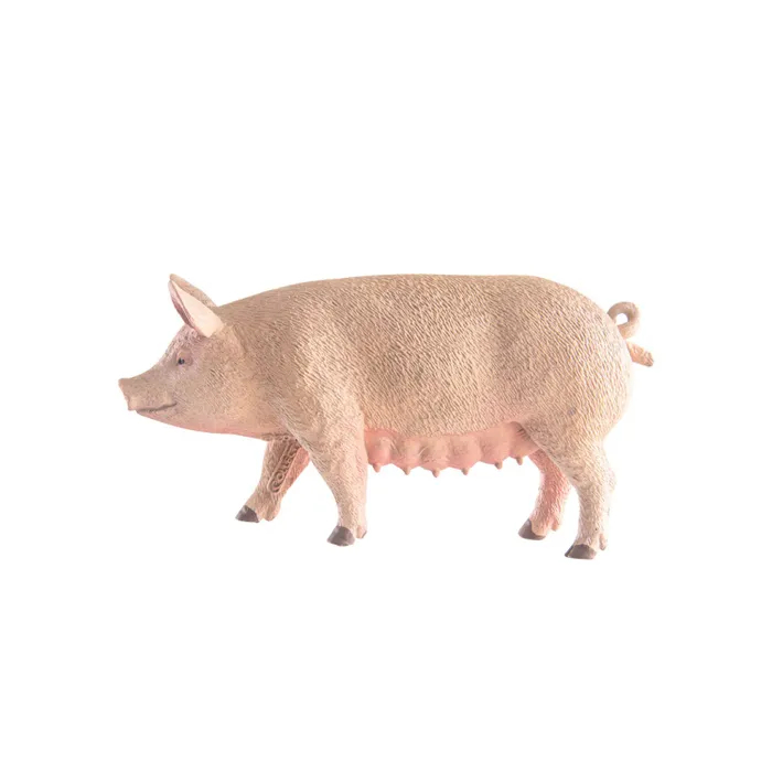 Свинья, M