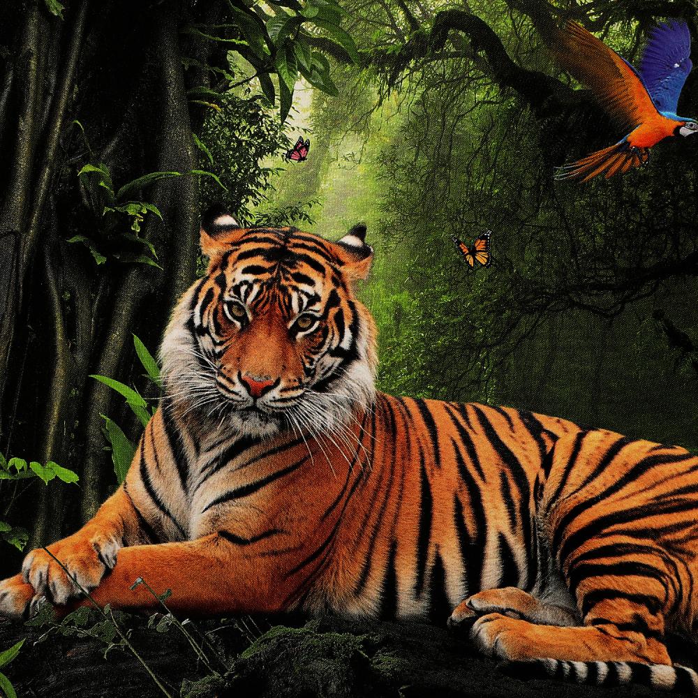 Пазлы 1000 дет. Тигр в джунглях Умные игры 323418