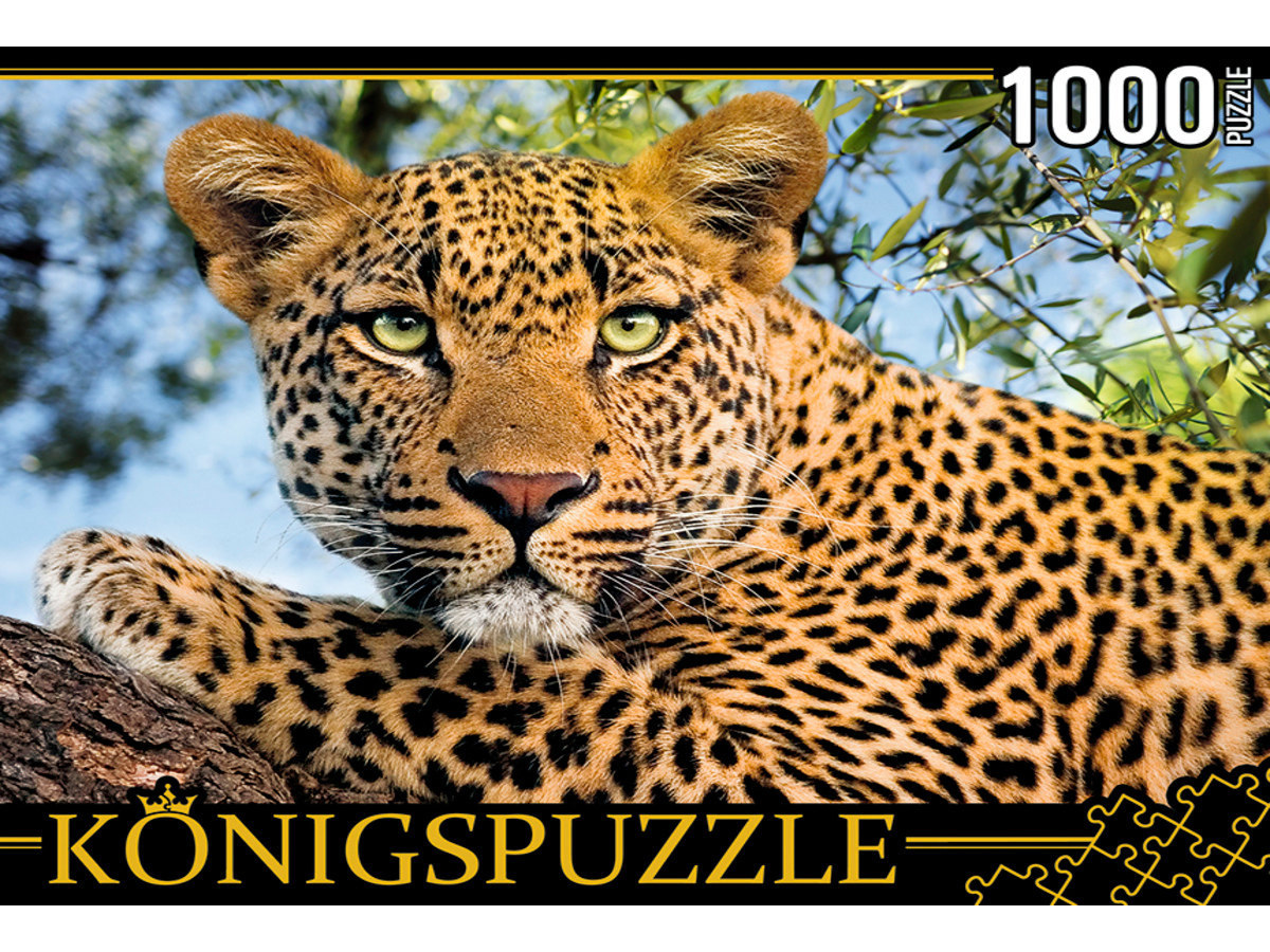 Пазлы 1000 эл. Konigspuzzle Портрет леопарда