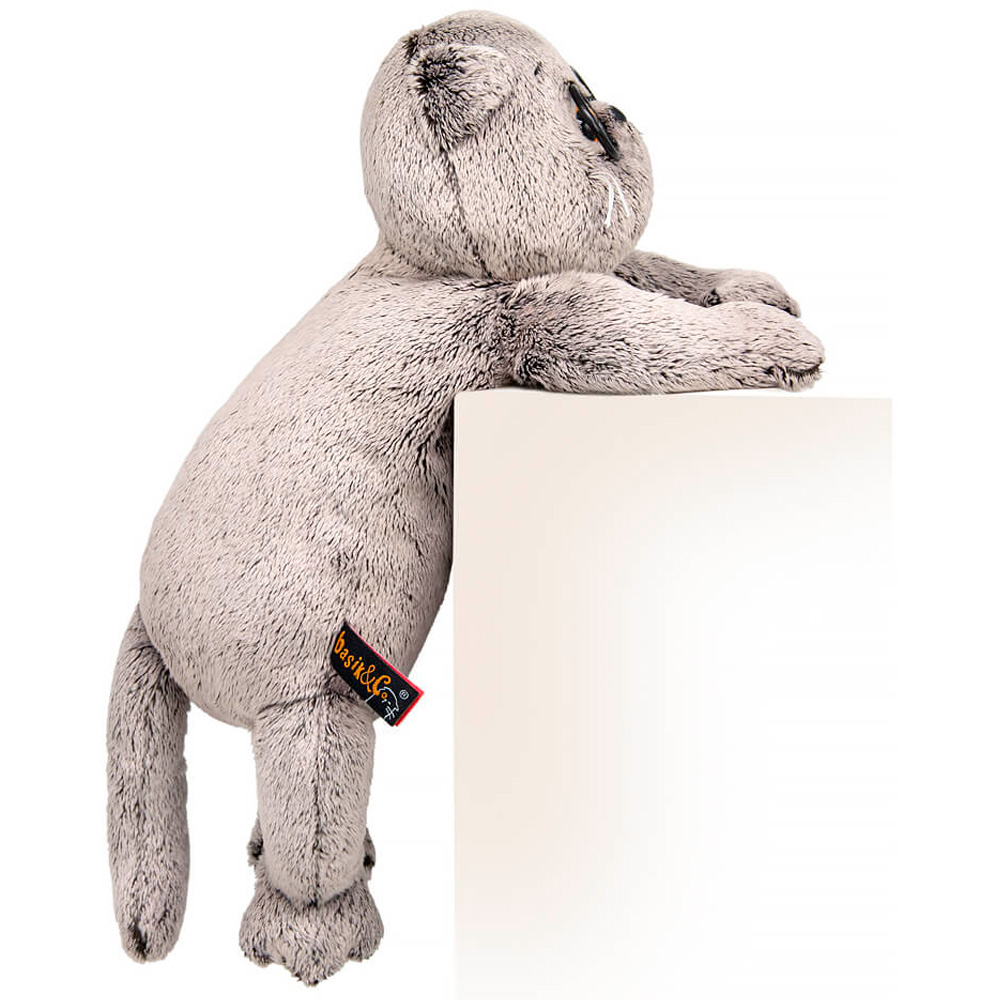 Басик в очках