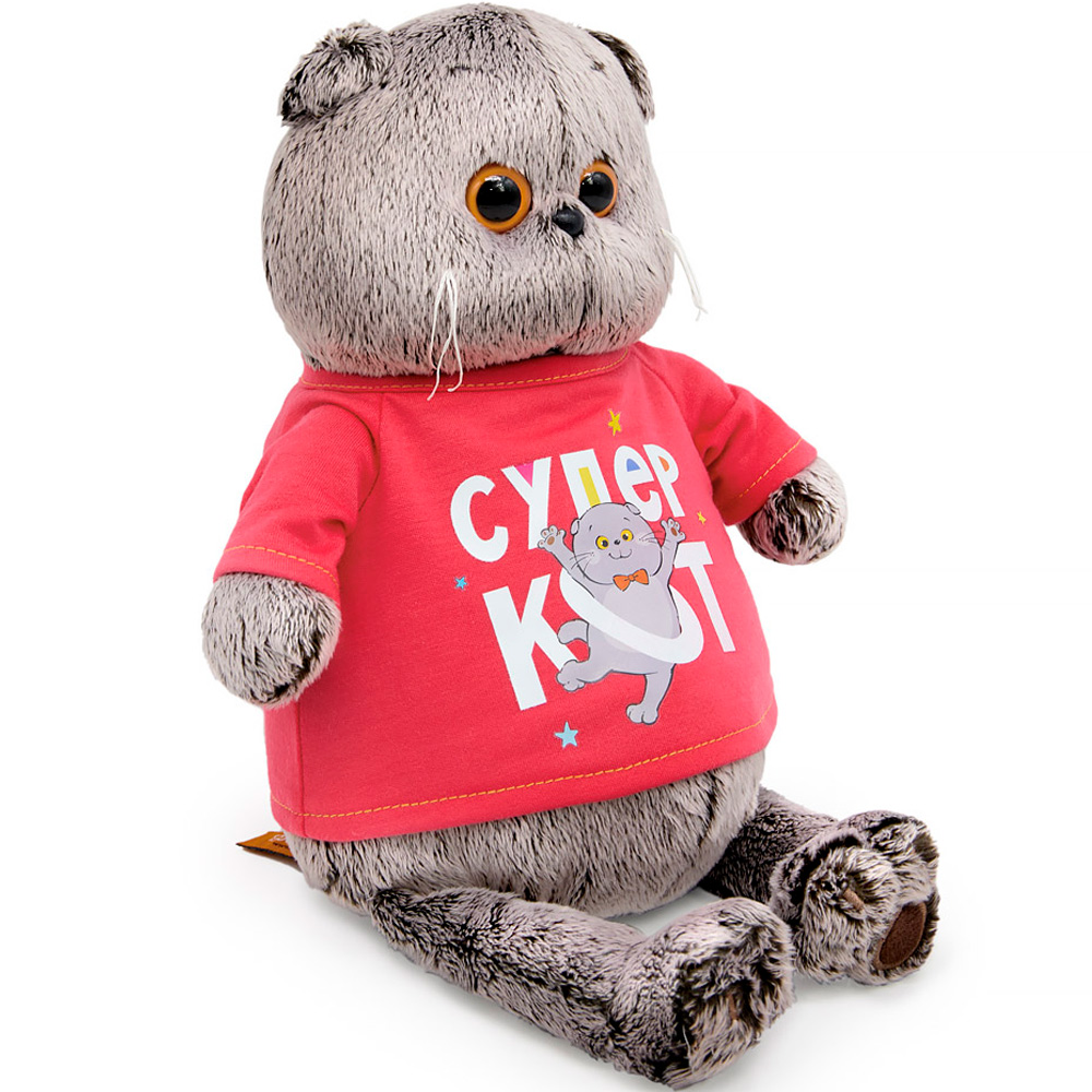 Басик в лонгсливе с принтом "Супер кот"