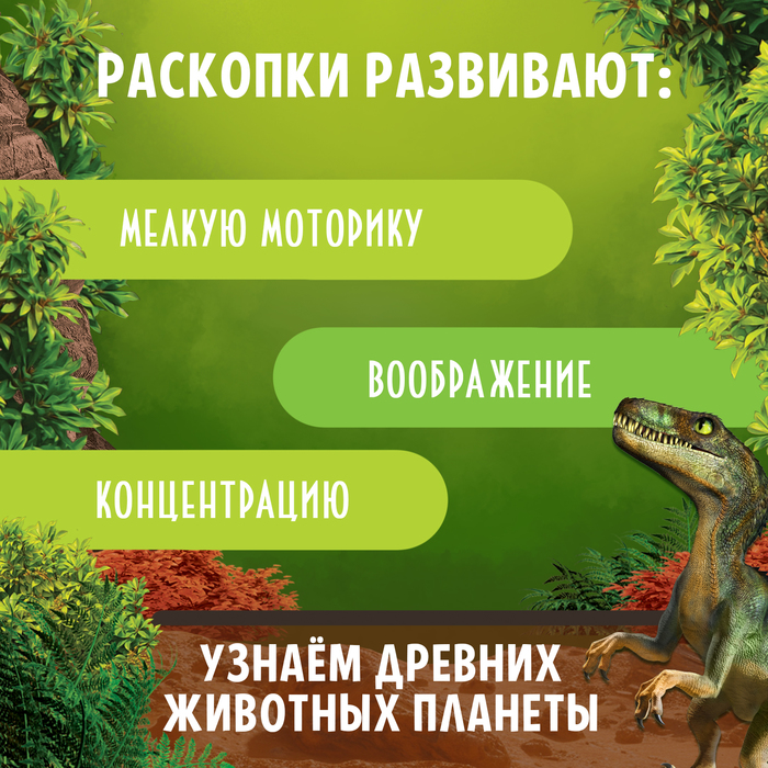 Раскопки Эпоха динозавров