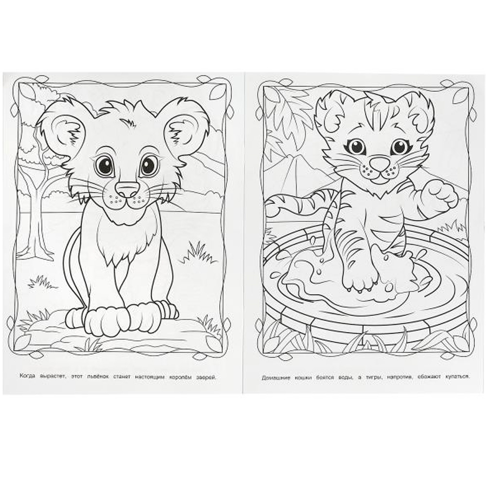 Раскраска Умка Дикие животные