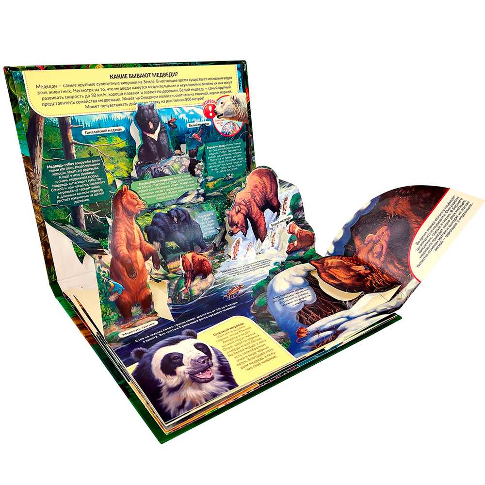 POP UP Энциклопедия панорама Хищники
