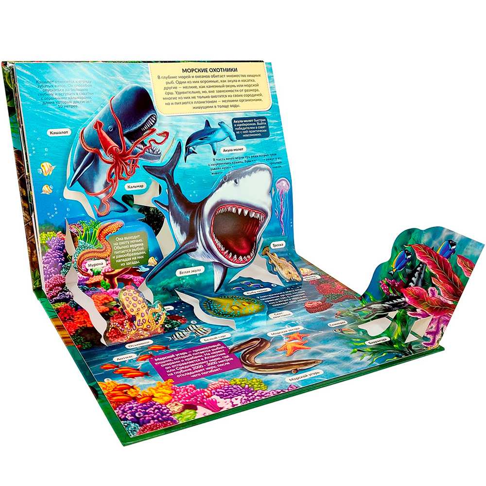 POP UP Энциклопедия панорама Хищники