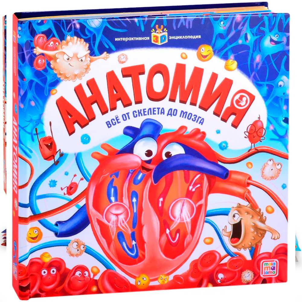 Энциклопедия интерактивная Анатомия