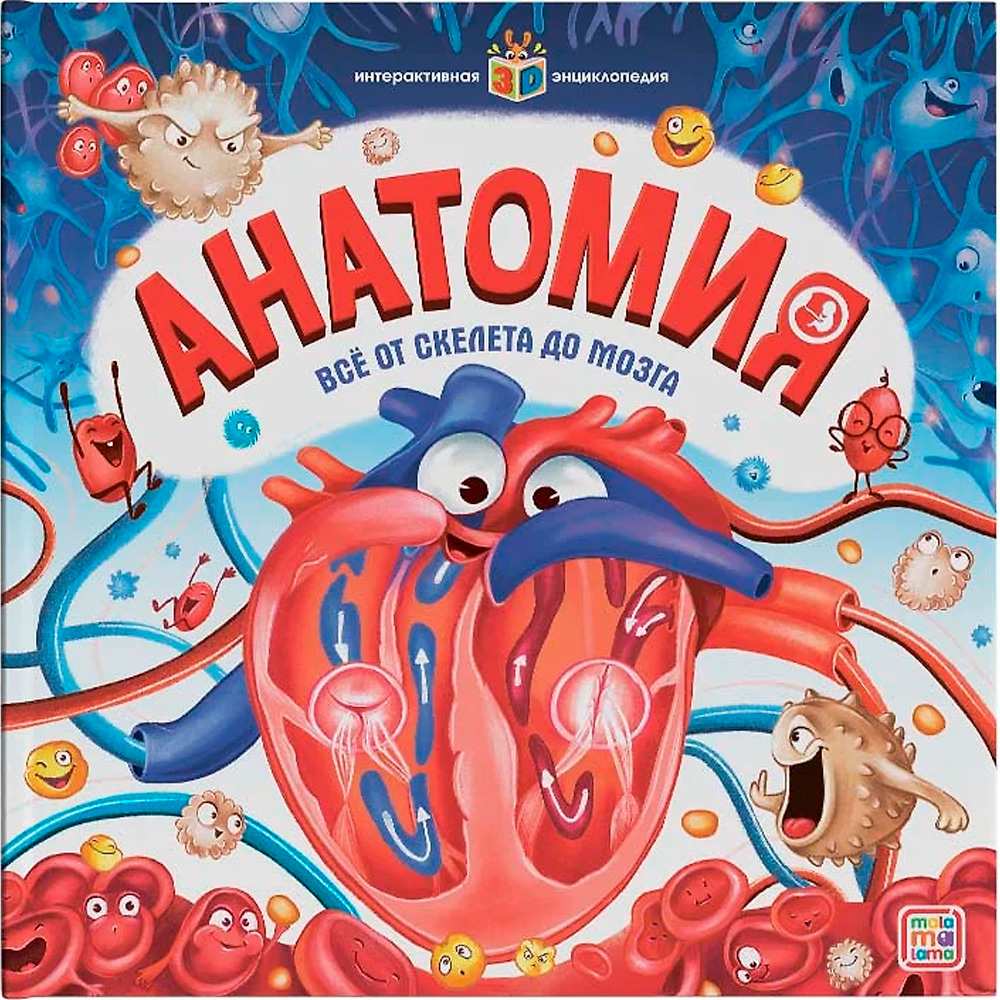 Энциклопедия интерактивная Анатомия