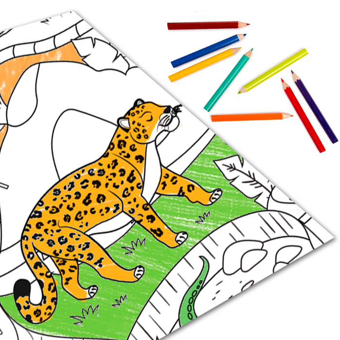 Раскраска гигант День в зоопарке