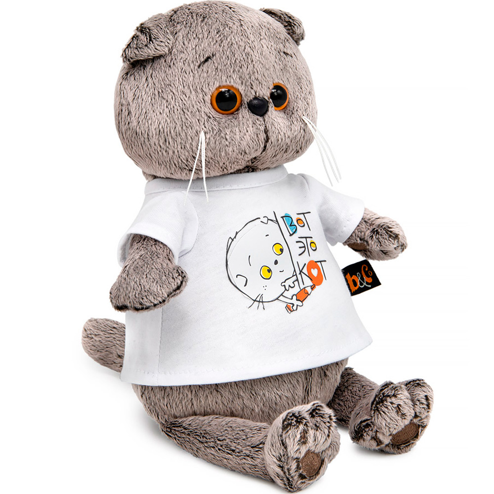 Басик в футболке с принтом Вот это кот Мультсериал